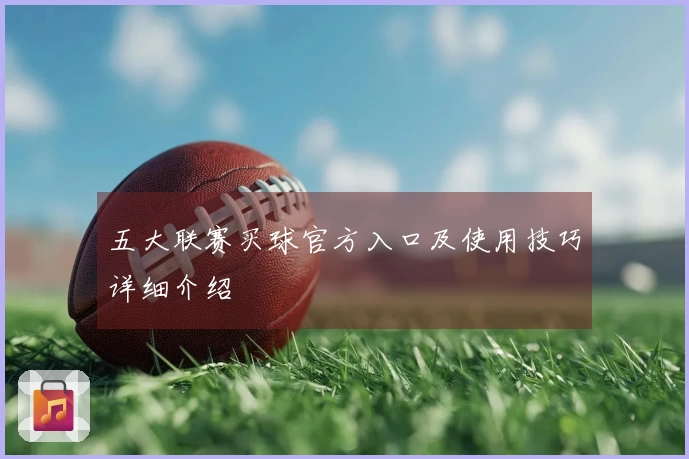 五大联赛买球官方入口及使用技巧详细介绍