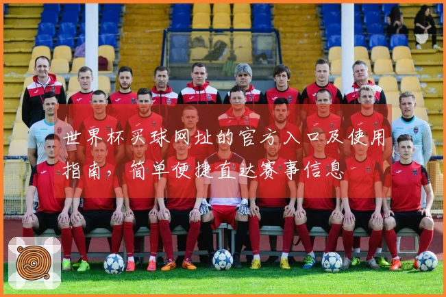 世界杯买球网址的官方入口及使用指南，简单便捷直达赛事信息