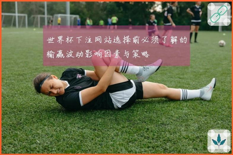 世界杯下注网站选择前必须了解的输赢波动影响因素与策略