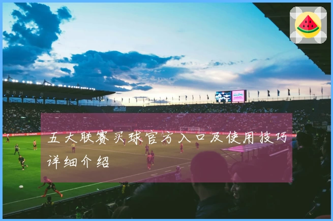 五大联赛买球官方入口及使用技巧详细介绍