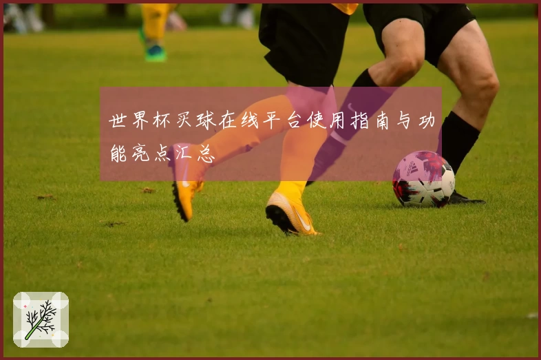 世界杯买球在线平台使用指南与功能亮点汇总
