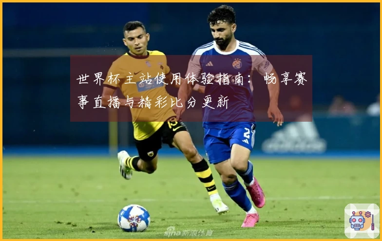 世界杯主站使用体验指南：畅享赛事直播与精彩比分更新