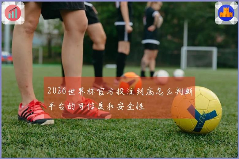 2026世界杯官方投注到底怎么判断平台的可信度和安全性