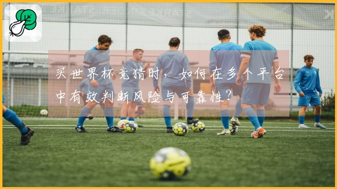 买世界杯竞猜时，如何在多个平台中有效判断风险与可靠性？