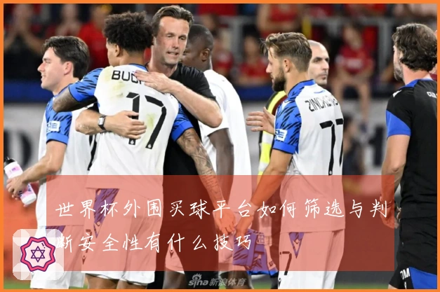 世界杯外围买球平台如何筛选与判断安全性有什么技巧