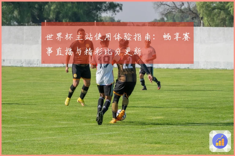 世界杯主站使用体验指南：畅享赛事直播与精彩比分更新