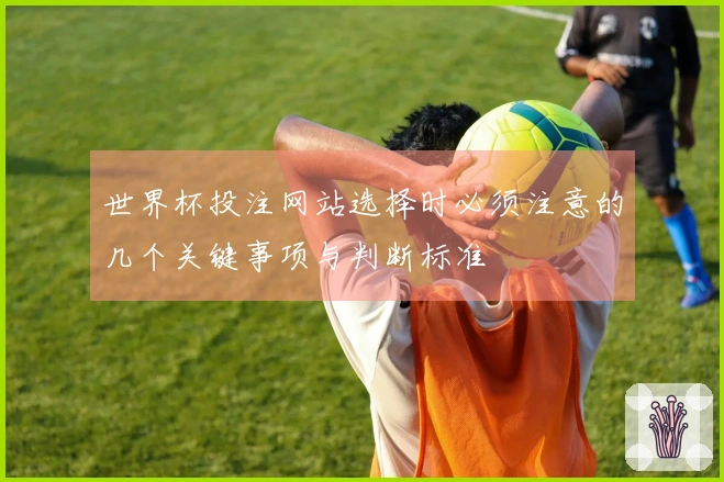 世界杯投注网站选择时必须注意的几个关键事项与判断标准