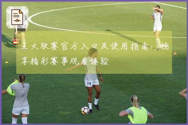 五大联赛官方入口及使用指南，畅享精彩赛事观看体验