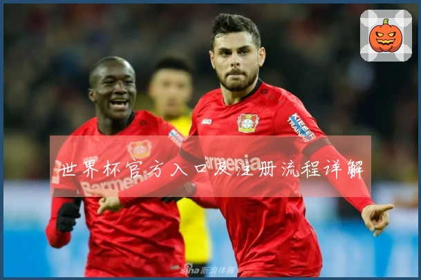 世界杯官方入口及注册流程详解