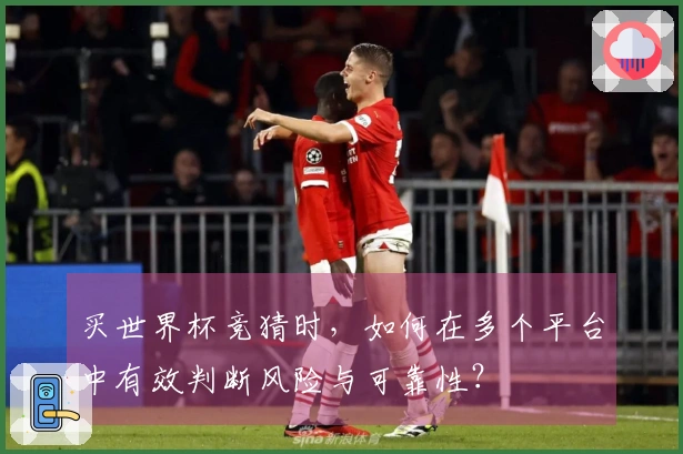 买世界杯竞猜时，如何在多个平台中有效判断风险与可靠性？