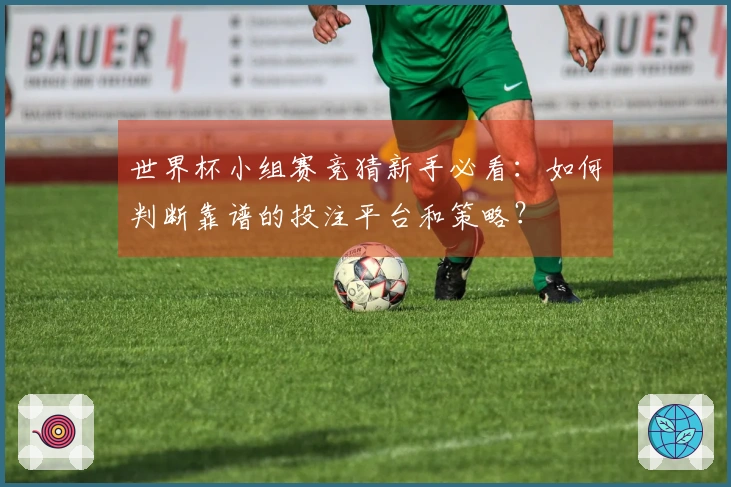 世界杯小组赛竞猜新手必看：如何判断靠谱的投注平台和策略？