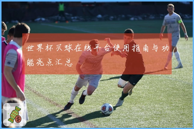 世界杯买球在线平台使用指南与功能亮点汇总