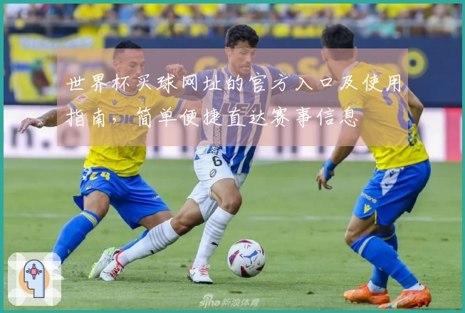 世界杯买球网址的官方入口及使用指南，简单便捷直达赛事信息