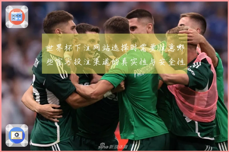 世界杯下注网站选择时需要注意哪些官方投注渠道的真实性与安全性